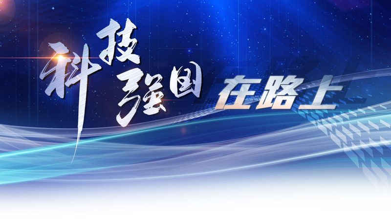 软件定制开发周期：影响因素与实际案例