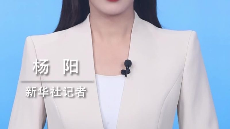 知识表示学习方法：探寻高效智能的奥秘